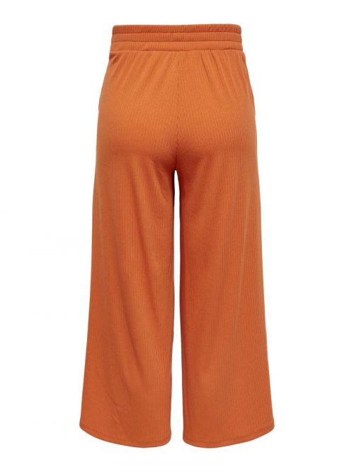 15256217 Apricot Orange