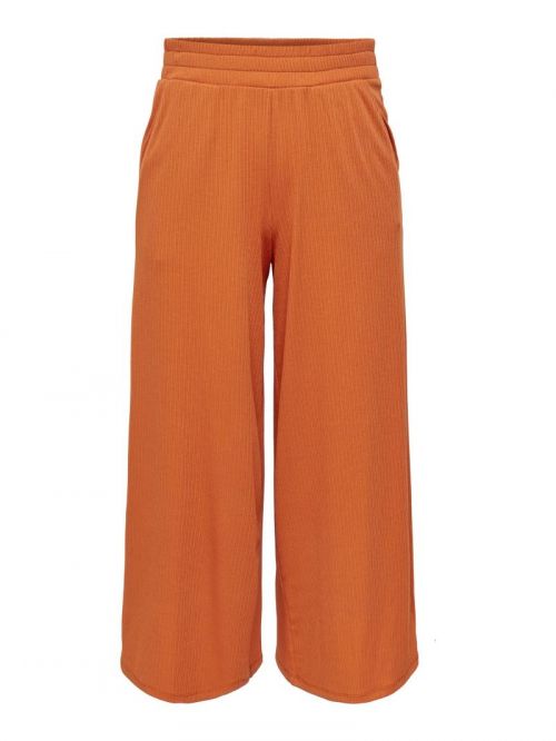15256217 Apricot Orange