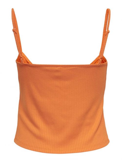 15254647 Apricot Or