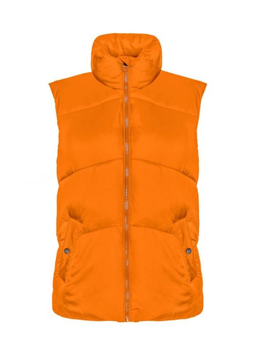 10275658 Oriole