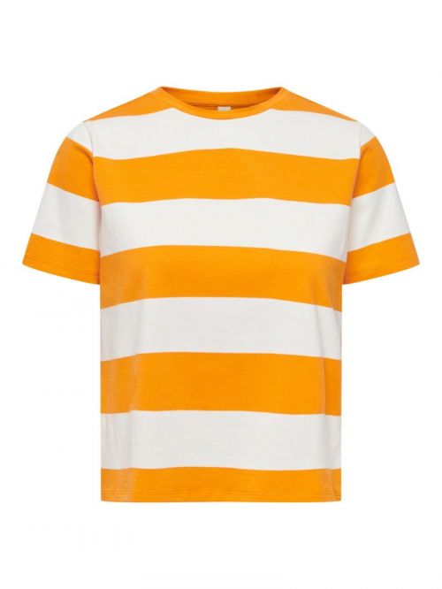 15252962 Apricot