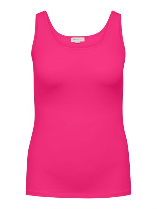 15188036 Pink Yarrow