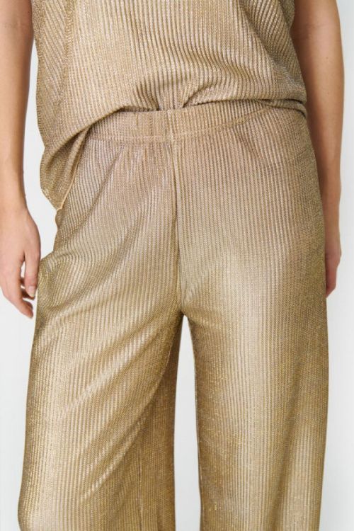 30513303 141012 Gold