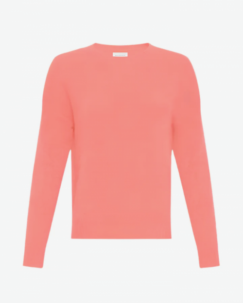 18596 Sugar Coral