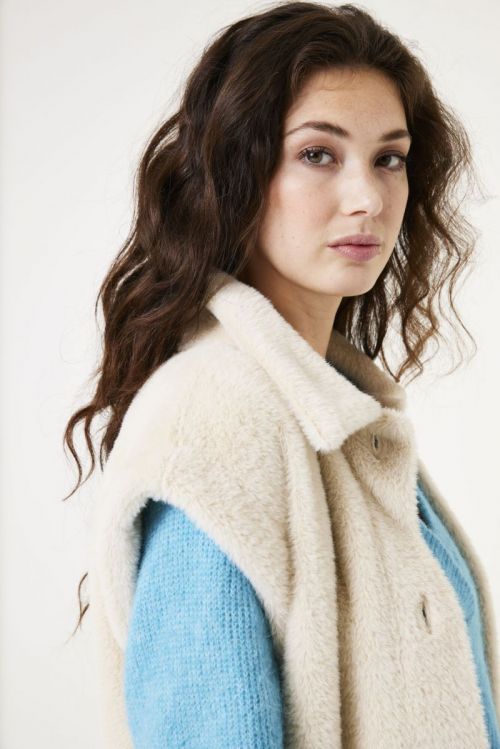X40291 2082 Turtledove