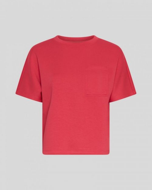 19002 Rose Red