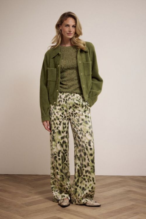 C42-17-401 006501 - Moss