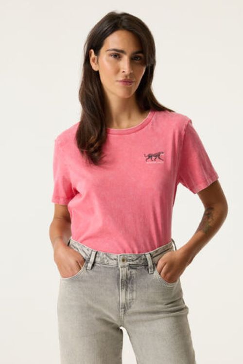 Z00012 - 48252 5233 Rose Garde