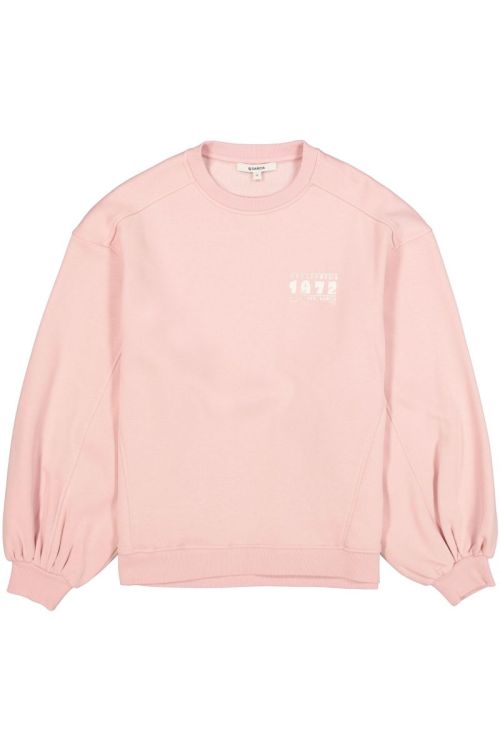 N260260 - 47929 3106 Dusty Pink