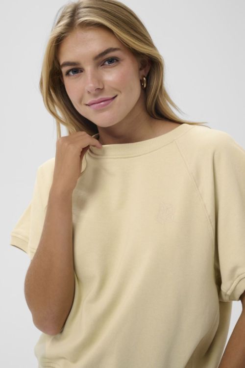 30514890 1311051 Brown R