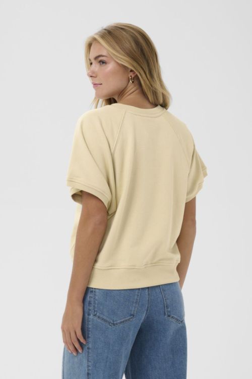 30514890 1311051 Brown R