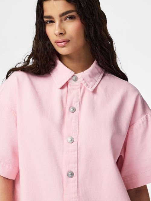17162370 Roseate Spoonbi