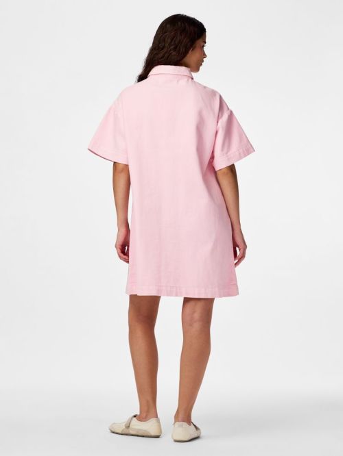 17162370 Roseate Spoonbi