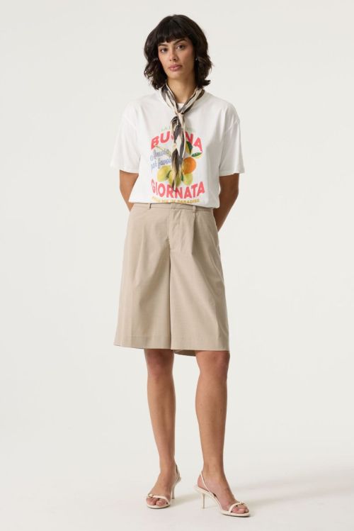 Q260005 53 Off White