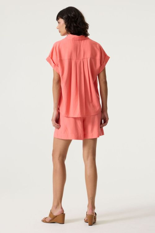 Q260032 1005 Coral