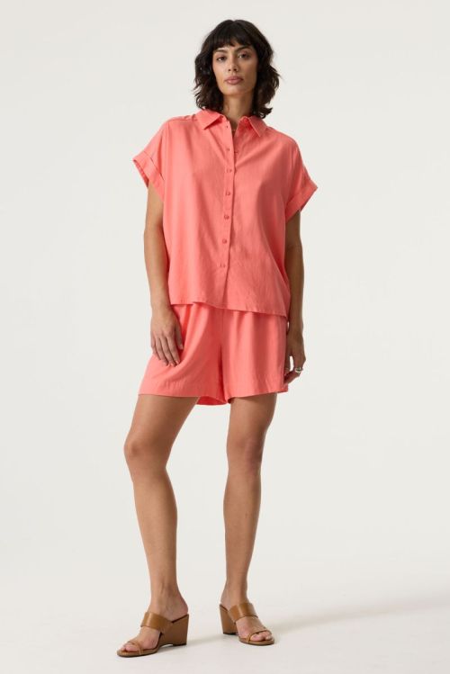 Q260032 1005 Coral