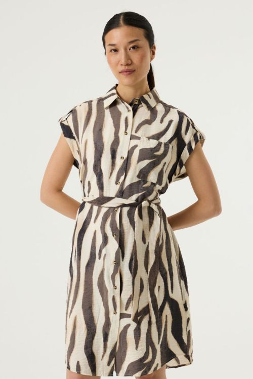 Q260088 2082 Turtledove
