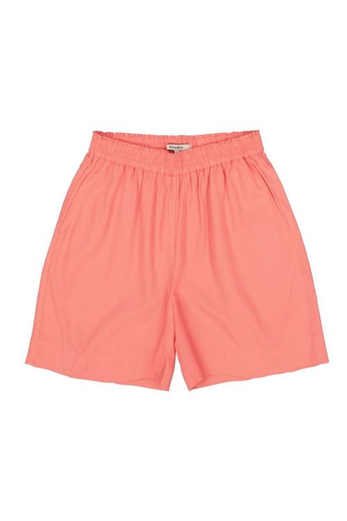 Q260141 1005 Coral