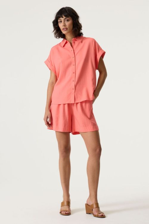 Q260141 1005 Coral