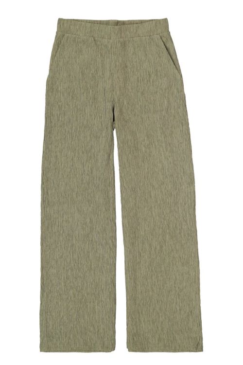 R260344 9945 Olive Bree