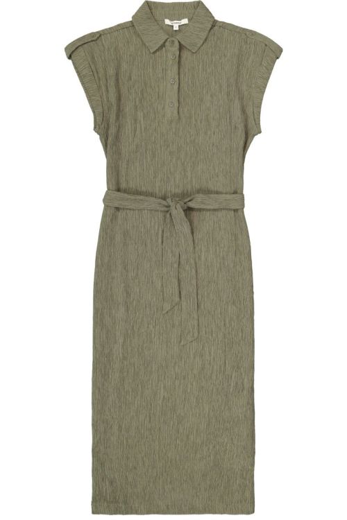 R260283 9945 Olive Bree