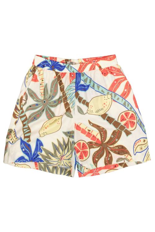 R260343 2082 Turtledove