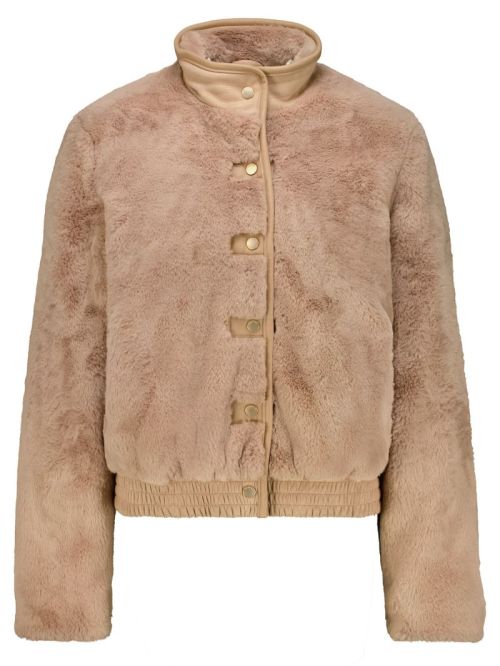 GJ2600920 9067 L Camel